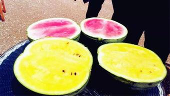 碗盆吃瓜爆料,揭秘娱乐圈幕后真相